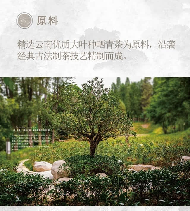 云南白药醉春秋《如故》 图片4